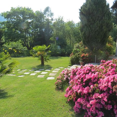 Villa Morissolina Trarego Zewnętrze zdjęcie